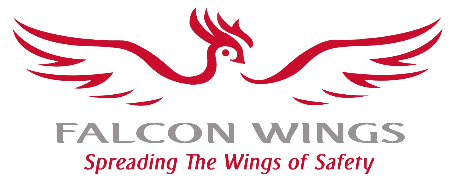 Falcon Fire & Safety Equipment Est.